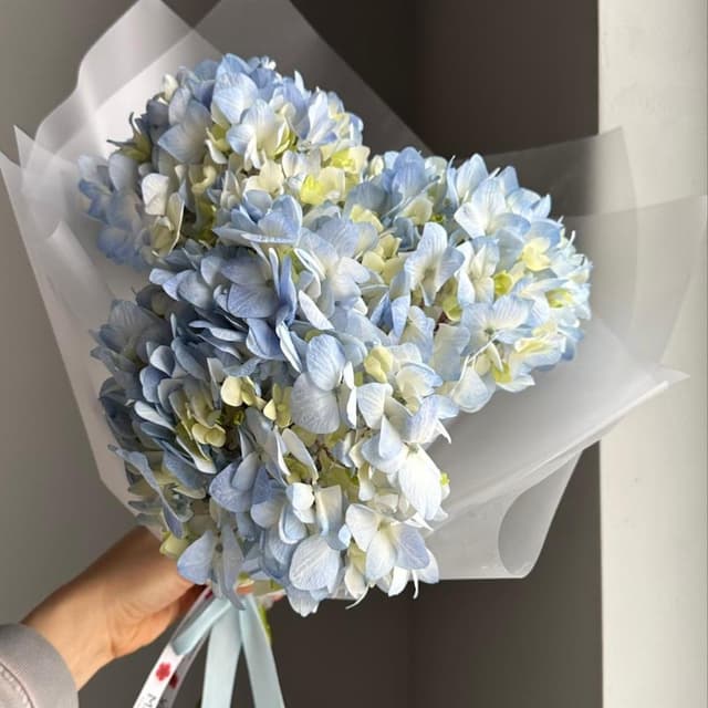 Букет #118 Гортензии