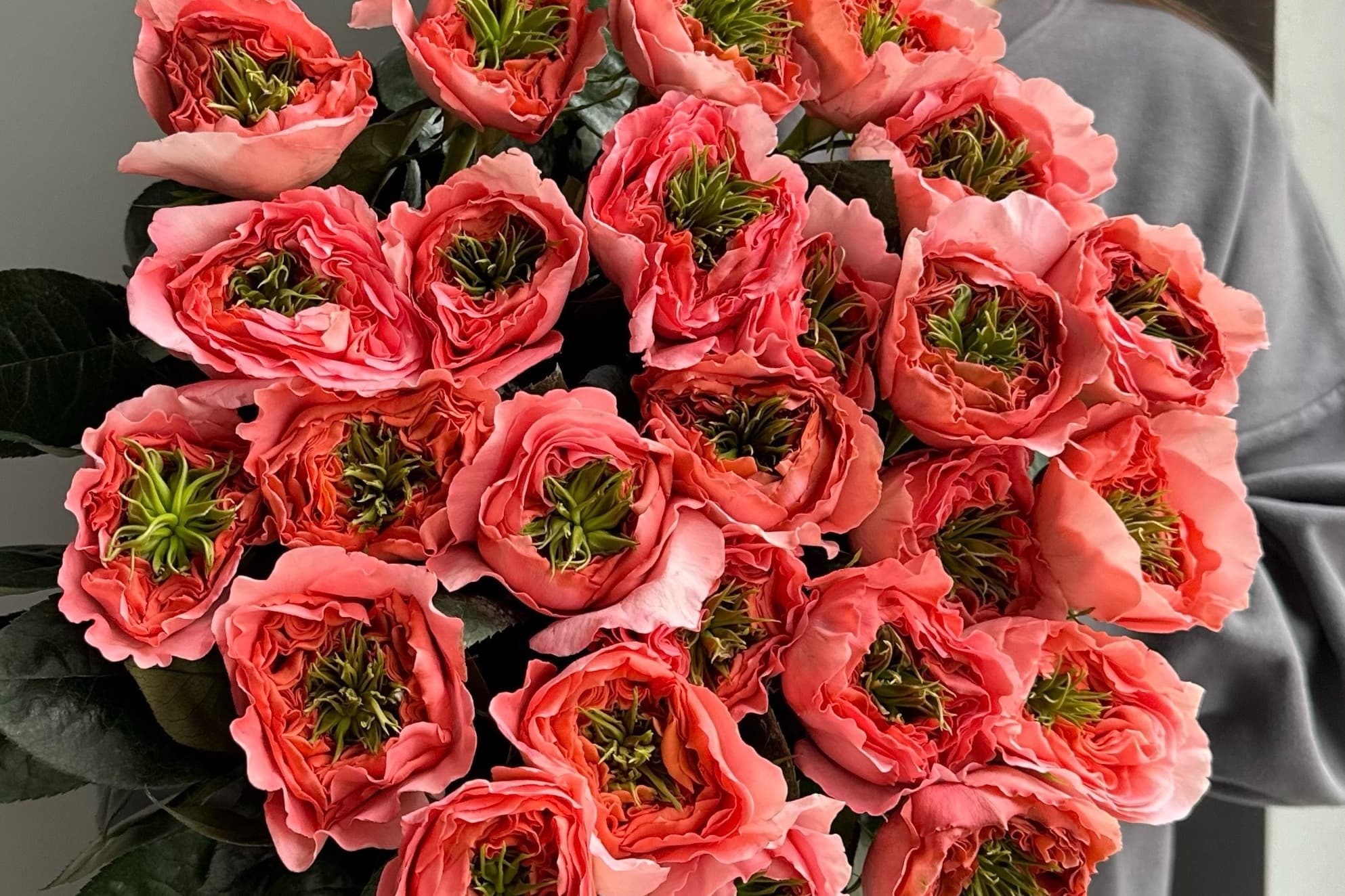 Прямые поставки роз из Эквадора