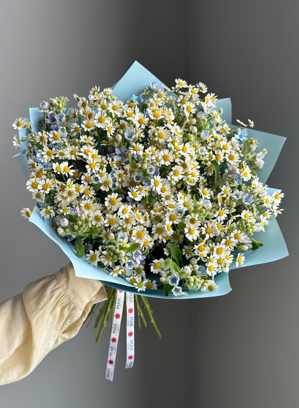 Букет #228 Кустовые ромашки и оксипеталум