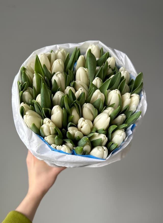 Тюльпаны #809 Классические "Белые"