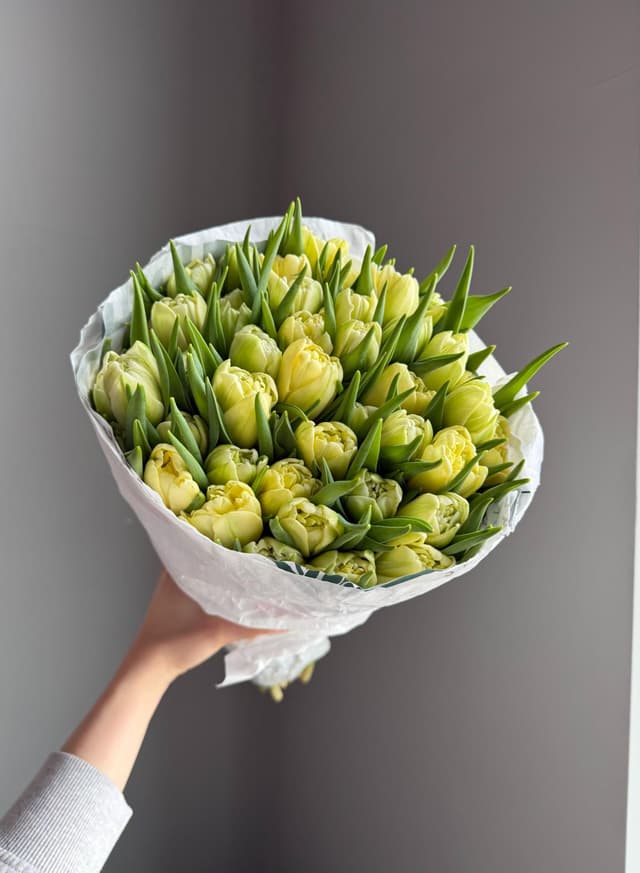 Тюльпаны #806 Пионовидный "Лимонный"